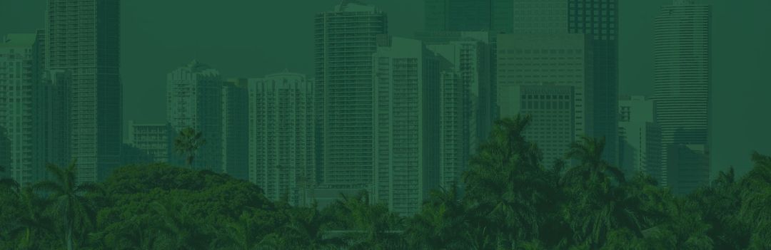 Miami Beach 生活方式