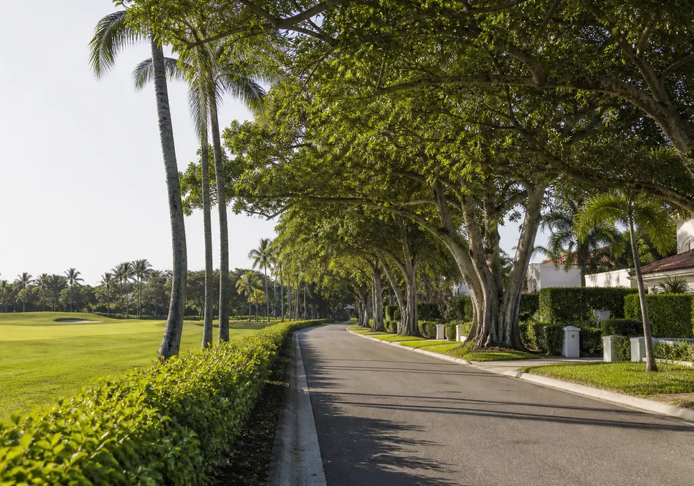 La Gorce，Miami Beach 社区